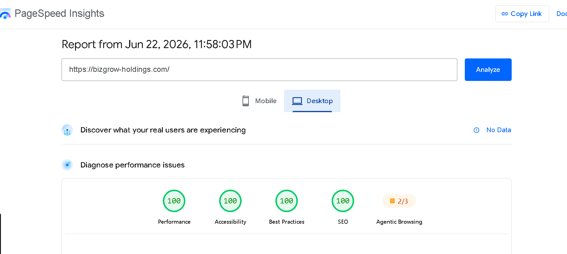 BizGrow Holdings Desktop PageSpeed Insights Performance 100, Accessibility 100, Best Practices 100, SEO 100