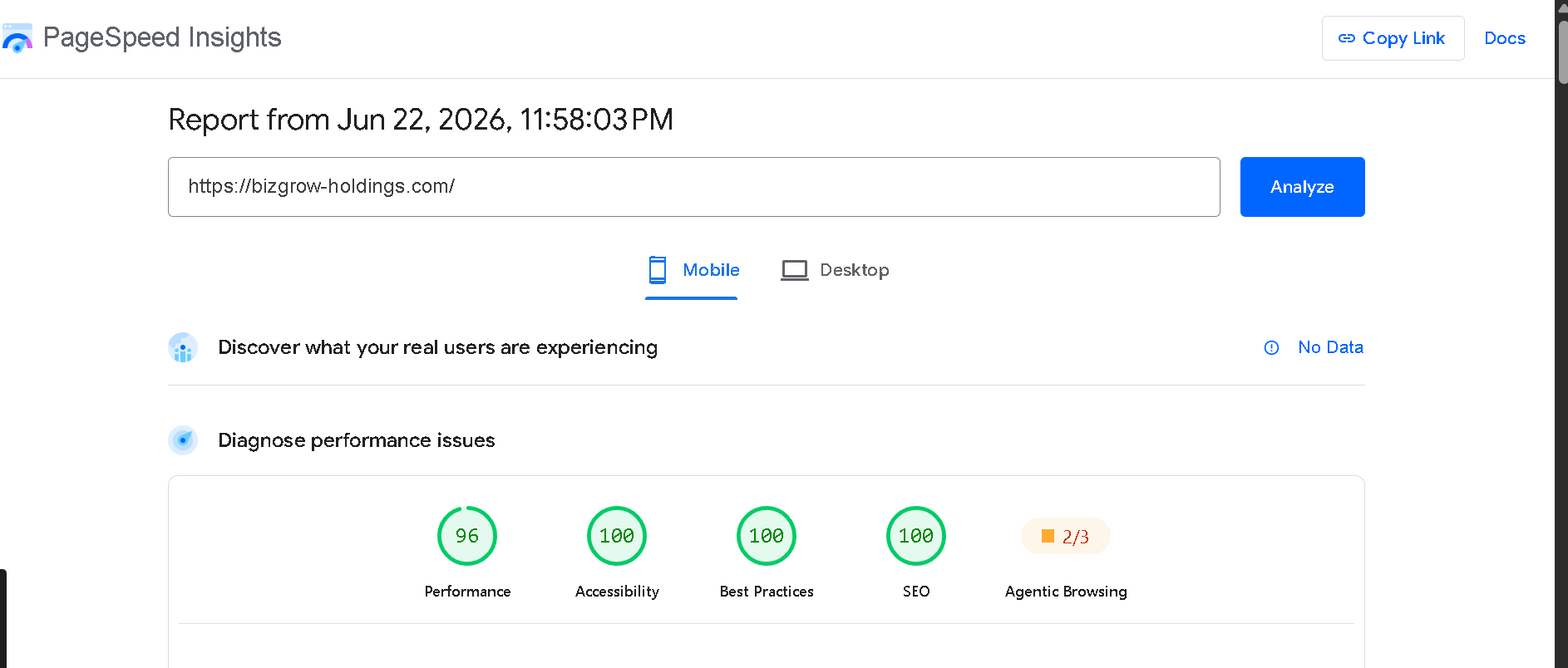 BizGrow Holdings Mobile PageSpeed Insights Performance 96, Accessibility 100, Best Practices 100, SEO 100